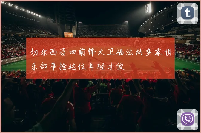 切尔西召回前锋大卫福法纳多家俱乐部争抢这位年轻才俊