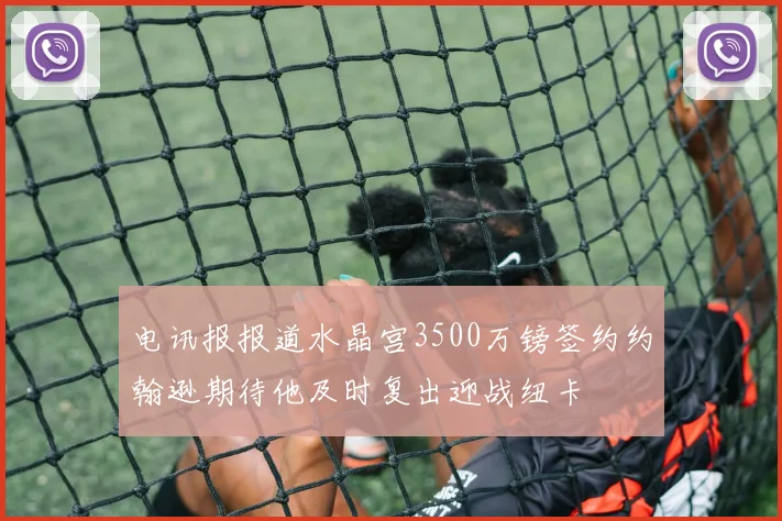 电讯报报道水晶宫3500万镑签约约翰逊期待他及时复出迎战纽卡